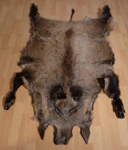 XXL WILDSCHWEINFELL Wildschwein echtes Fell Schwarzwild