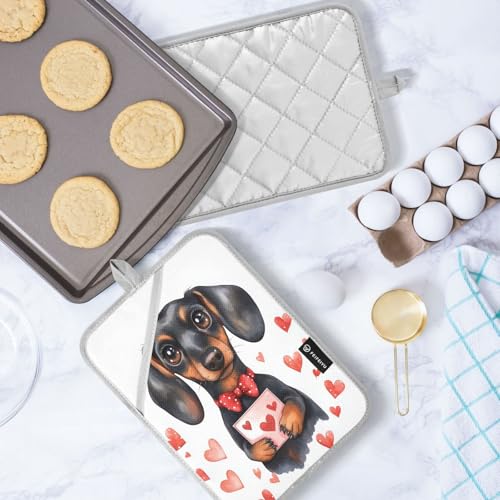 Manique teckel de cuisine résistante chaleur lot de 2 Vivid Pocket