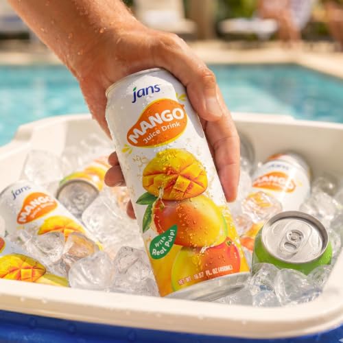 Image of Jans 100% Mango Juice Drink with Real Pulp, 16.57 fl oz, Pack of 12