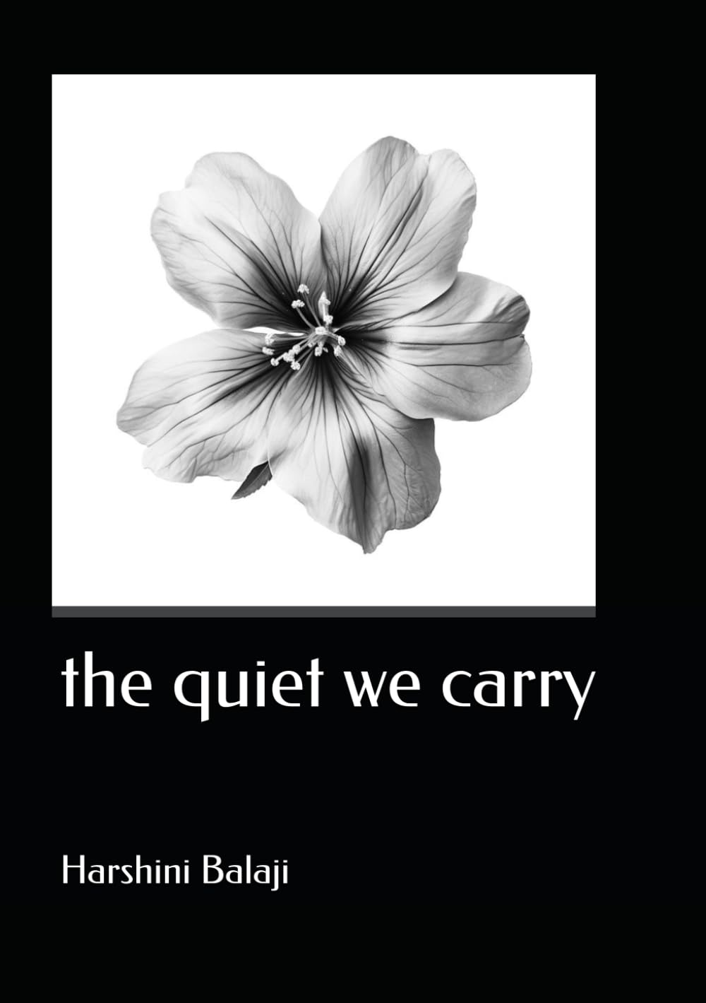 the quiet we carry