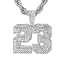 Number 23 Silver