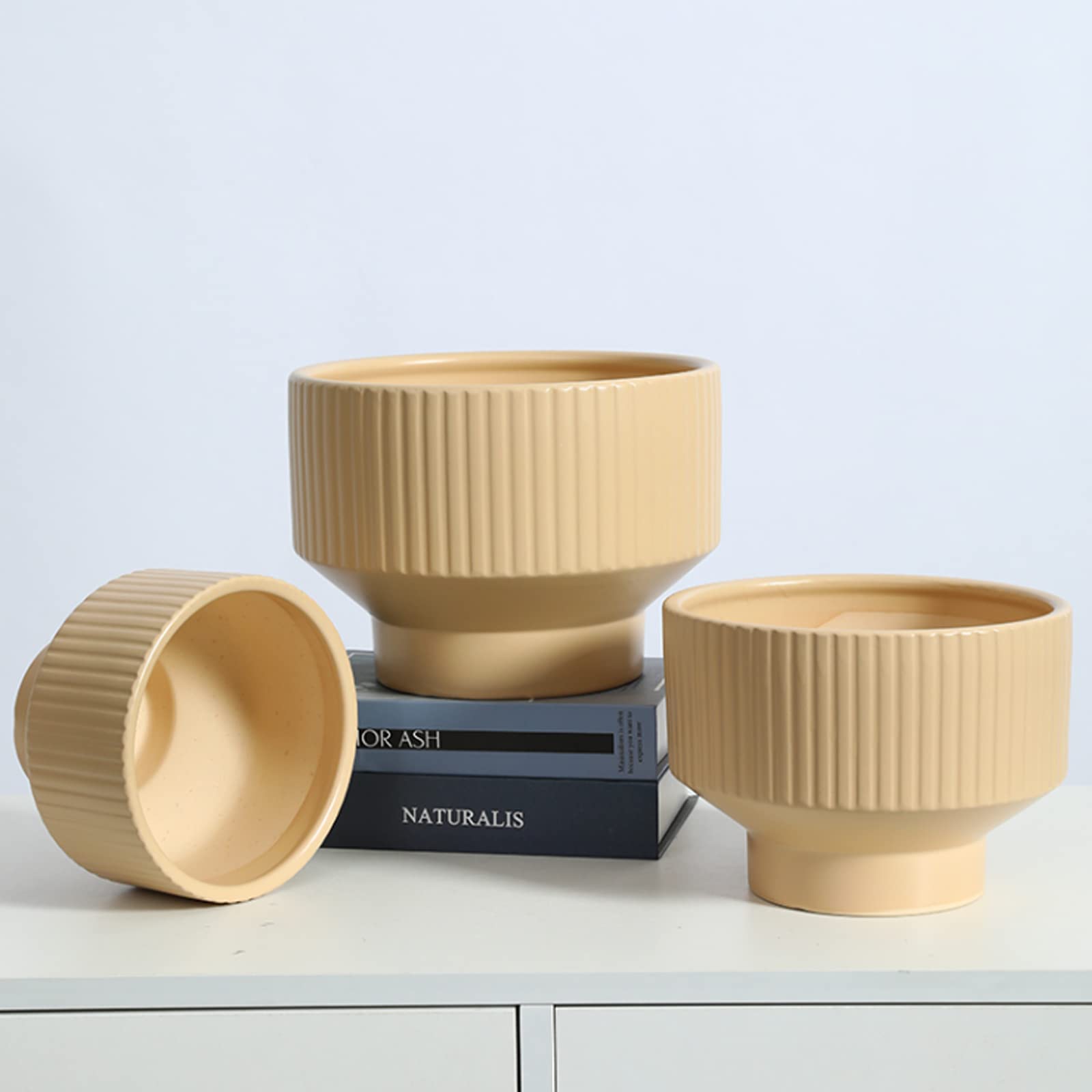 Vasi da Giardino Vaso per fioriere succulente in Ceramica con Foro di drenaggio e piattino in plastica, Moderno Vaso da Giardinaggio a Strisce Verticali per la casa