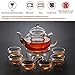 27 oz Glass Teapot Set Stovetop Safe Tea Infuser Maker with a Candle Warmer and 6 Double Wall Teacups，Blooming & Loose Leaf Tea Pot CJ-800ml