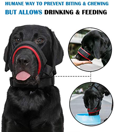 Gentle Dog Muzzle For Small, Medium, Large Dogs, Safely Secure Comfort Fit Muzzle To Prevent Barking, Biting And Unwanted Chewing, Soft Neoprene Padding, Included Training Guide (Small, Red) #TOP6