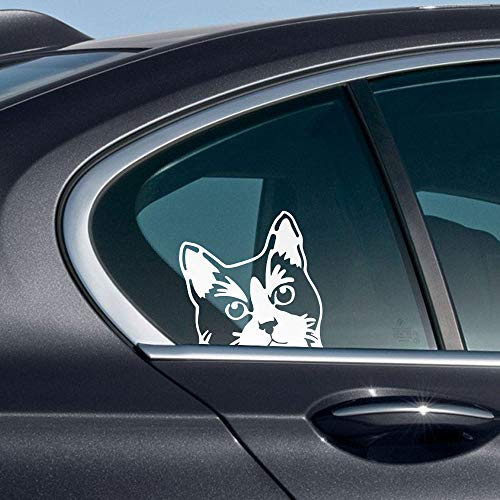 Image of WIRESTER 6 inch Clear Vinyl Decal Sticker Decoration for Car Window (Or Any Flat Surface) - Tuxedo Cat
