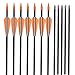 Elong Fiberglass Arrows Archery 26 Inch Target Shooting Practice Safetyglass Recurve Bows Suitable for Youth Children Woman Beginner (6 pcs)