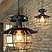 Gigicial Metal Hanging Ceiling Light Plug In Cord, Light Vintage Hanging Light Pendant Light Fixture, Vintage Lamp Shades(black)