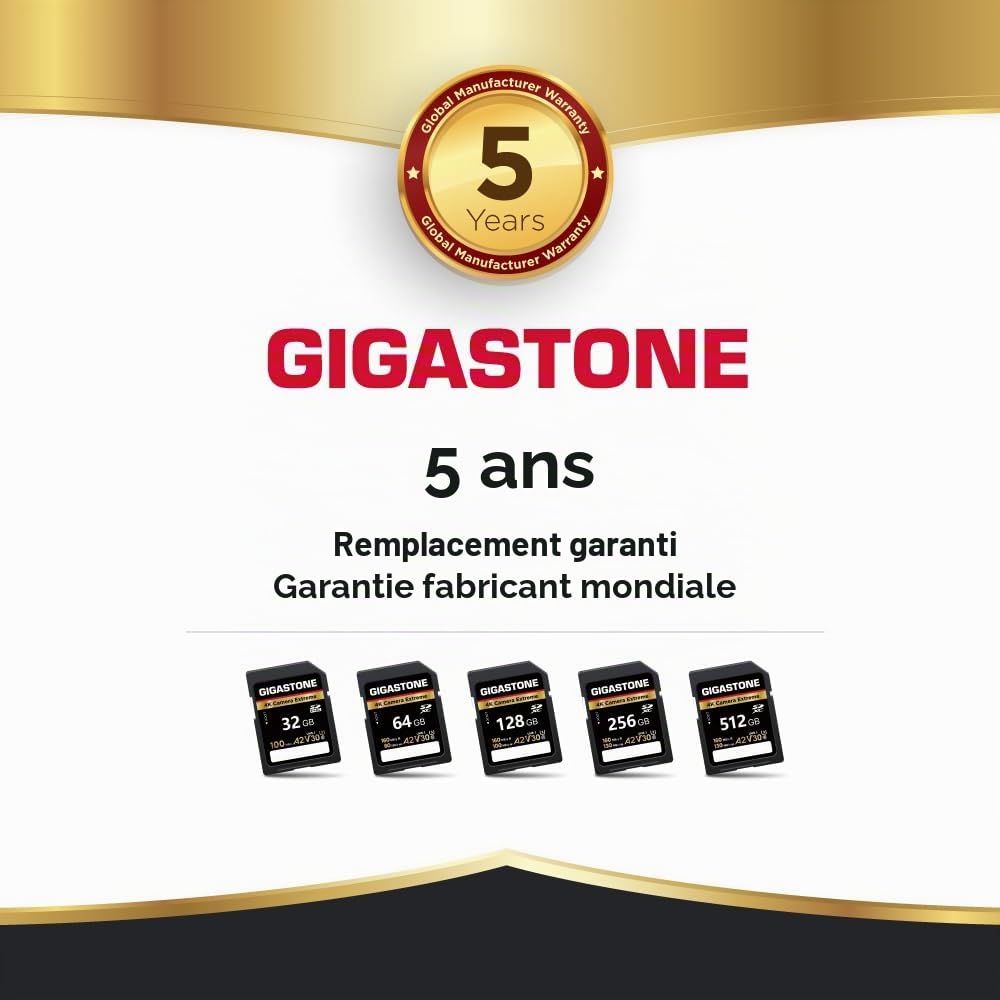 Gigastone A2 V90 Carte Mémoire SDXC 128 Go, 4K Caméra Extreme Série, Vitesse 160 Mo/s. Compatible avec Caméra Canon Nikon Sony Panasonic, U3 UHS-I Classe 10 pour 4K UHD Vidéo, avec 1 Mini étui