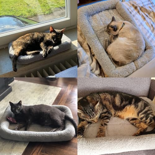 LESYPET Cat Bed for Indoor Cats, Soft Cat Cushion with Cat Pillow Around, Rectangle Kitten Pad Small Bed for Window Sill, 15'' x 10'' - Image 7