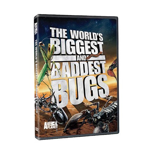 (未使用･未開封品)World's Biggest & Baddest Bugs [DVD] Amazon.co.jp: World's Biggest & Baddest Bugs [DVD] : DVD