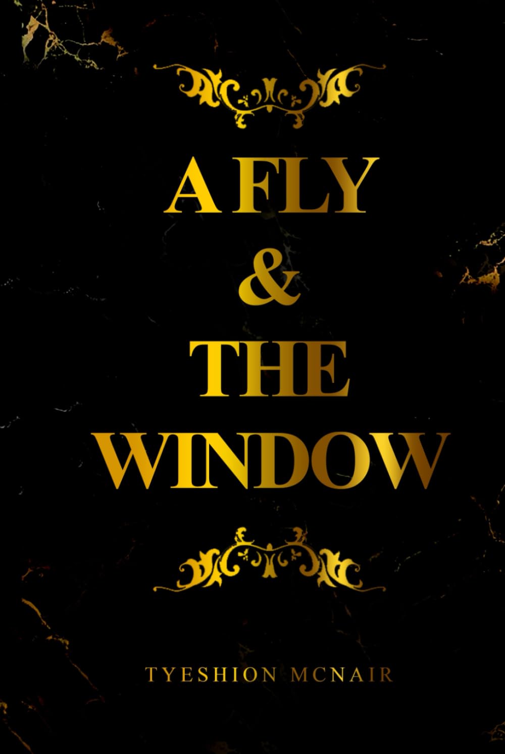 A Fly and the Window (A Fly Series)