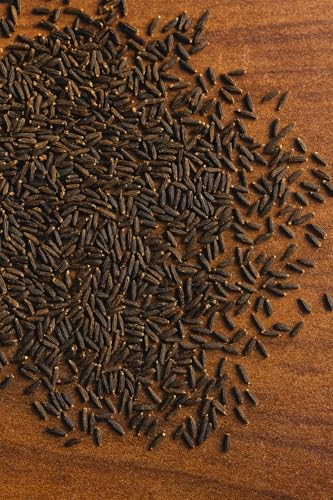 Image of Kalijiri (Centratherum) | Kaali Jeeri - Kaali Jeeri - Kalijiri (1 KG)