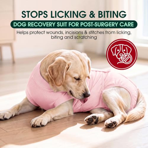 Image of Kuoser Dog Surgery Suit Female Spay, Dog Recovery Suit Male Neuter