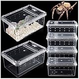 6 Pcs Spider Terrariums Breeding Box Insect Container Transparent Hatching Container Plastic Feeding Box for Small Reptile Spider Scorpion Centipede Insect - Mini