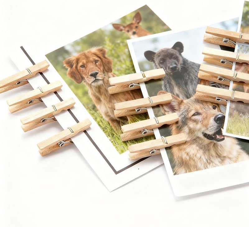 Wooden Clothespins, 50 Pack 2.83 Inch - Heavy Duty Rust Resistant Wood Clips for Hanging Clothes, Crafts, Photo Displays & Classroom Use, Strong Grip for Indoor Outdoor Laundry Drying