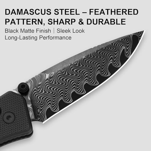 Image of Kizer Aegis EDC Pocket Knife, 2.8 inch Damascus Steel, Black G10 Handle