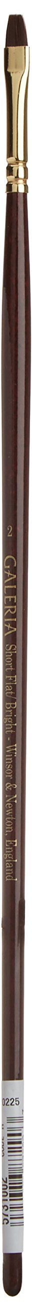 Winsor & Newton Galeria Flat Brush - Size 2 - Acrylic