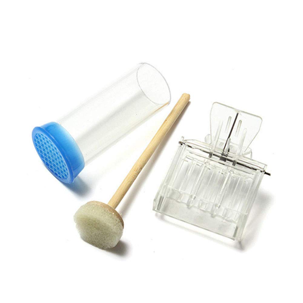 Kit di Attrezzi per Apicoltura Kit 8 in 1 Accessori per Apicoltori Professionisti