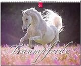  Traumpferde: Original Stürtz-Kalender 2021 - Großformat-Kalender 60 x 48 cm