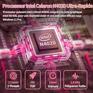 LONGEVINCE Mini Ordinateur Portable De 10,1 Pouces, Processeur Celeron N4020,1280 * 800, Mémoire 8G, BT5.0, Type-C, USB3.0 * 2, Mini HDMI, Carte TF,0,79 Kg(Or Rose,8GB+256G SSD)