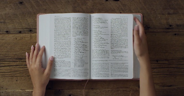 Image of ESV Applying the Gospel Study Bible for Women (TruTone, Pink, Colossians 3:16 Design): Holy Bible, English Standard Version