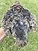 12 Large Fertile Hatching Coturnix Quail Eggs by Fox Peak Outdoor Supply LLC.