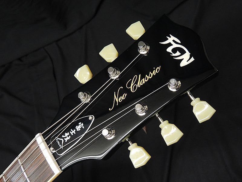 Amazon | FGN FUJIGEN NLS100RMPTB CAG Thin Body Neo Classic SERIES