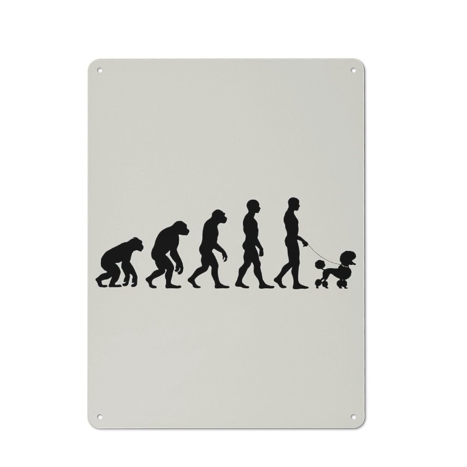 Junmoney Style-1 Evolution Poodle Rustic Metal Plaque 40X30cm For Living Room Or Hallway, For Garage, Workshop And Man Cave Decoration