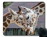5. respaldo no deslizante; Yanteng Cojín de ratón del rectángulo, Jirafa Animal ridícula Mousepad de Goma Bordes cosidos