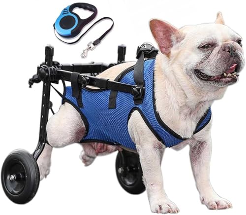 Silla de ruedas para perros para patas traseras