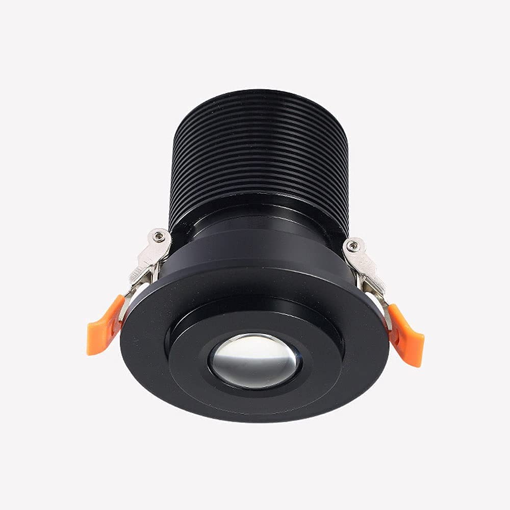 Downlight accent light spots encastrés noirs 12W directionnels salon
