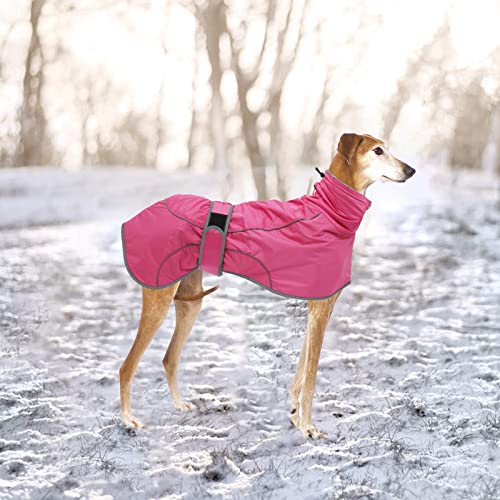 Geyecete- Wasserdicht Windhunde Mantel Fleece Whippet Pullover Winterjacke,Verstellbaren Reflektierend Outdoor Hundemantel für mittel und Grosse Galgo Windhund Whippet Lurcher Saluki-Rosa-XXXL