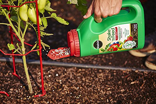 Image of Miracle-Gro Shake 'n Feed Tomato, Fruit and Vegetable Plant Food, for Outdoor In-Ground and Potted Plants, Feeds up to 3 Months, 4.5 lbs. (Pack of 6)