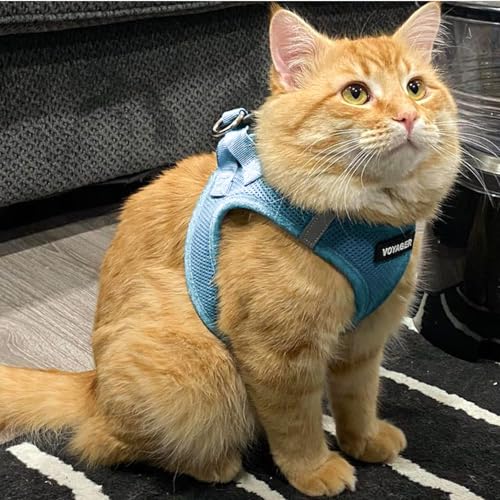 Image of Voyager Step-in Pet Harness - All Weather Mesh, Adjustable Step in Harness for Cats and Dogs by Best Pet Supplies - 307S Baby Blue, M