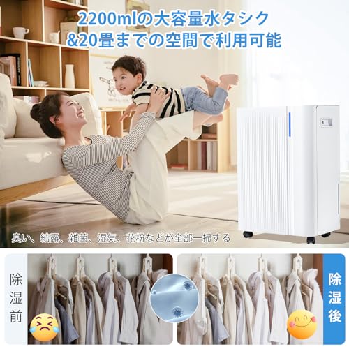 Aoxun 除湿機 コンプレッサー式 強力除湿 除湿量1日22L の商品画像 1