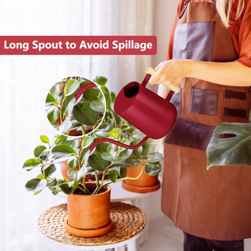 Image of Watering Can Indoor Plants, 35oz Small Stainless Steel Metal Watering Can Modern Decorative Watering Pot with Long Spout for Indoor House Plant Bonsai Garden Flowers (Red)