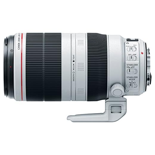 Canon EF 100-400mm L-Series Zoom Lens