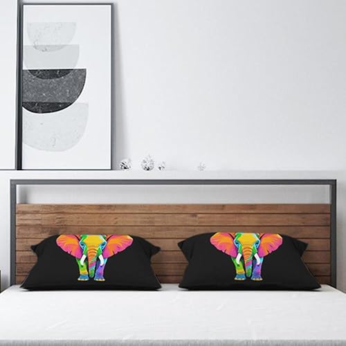 Miniatura 4 de AOYEGO Funda de almohada de elefante de 12 x 20 pulgadas, color arcoíris brillante, color arcoíris africano, safari, animales, elefantes, marfil,