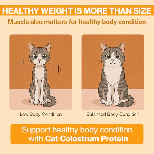 Image of Doctor By Cat Colostrum Protein Cat Supplement Immune Support Muscle Growth, Gentle on Digestion for Kittens, Adult&Senior Cats with Goat Milk, Whey Protein Isolate, Colostrum Lickable Formula