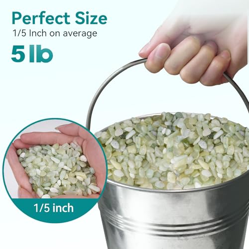 Image of 5 lbs Jade Pebbles for Indoor Plants, 1 /5 Inch Succulent and Cactus Pebbles, Decorative Gravel for Vases, Bamboo,Terrarium, Crafts, Cactus