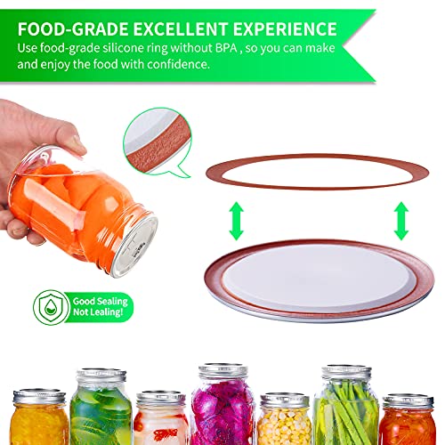 Drkio Regular Mouth Canning Lids - 218 Pcs Mason Jar Lids And Extra 10 Bands 100% Fit For Ball Kerr Jars Food Grade Material Split-Type Metal Canning Jar Lids Bpa Free Airtight & Leak Proof #TOP3