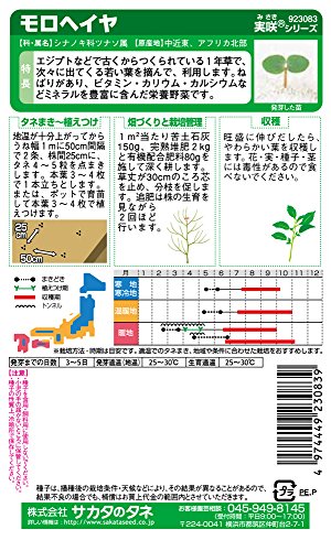 モロヘイヤの育て方 種まきの時期や冬越し 挿し木の方法などをご紹介 暮らし の モロヘイヤの育て方 種まきの時期や冬越し 挿し木の方法などをご紹介 暮らし の