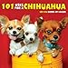 101 Uses for a Chihuahua