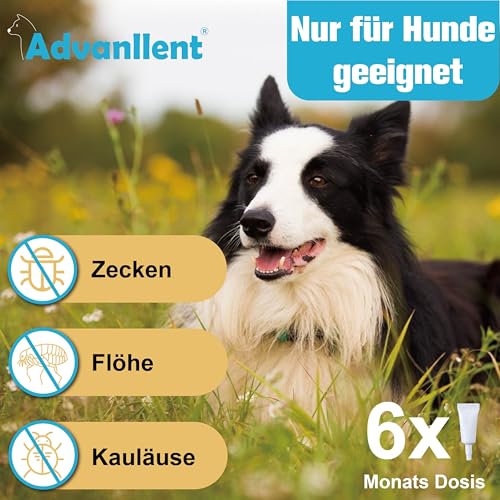 Advanllent Zeckenschutz für Hunde 6 Pipetten, Spot On Hund, Zeckenmittel für kleine Hunde 2 bis 10 kg, Hunde flohmittel entwurmungsmittel für Hunde, gegen Flöhe & Zecken