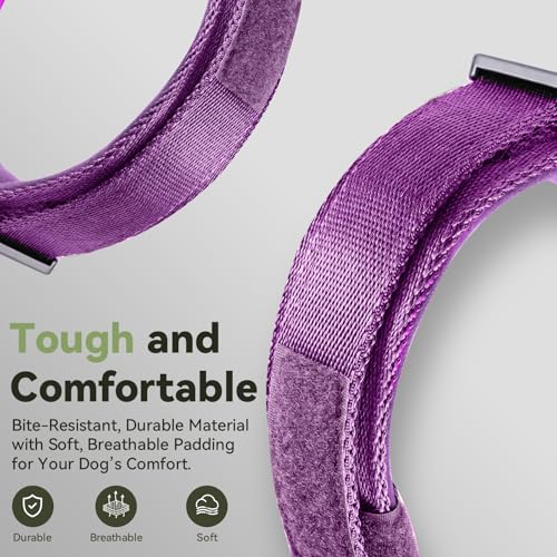 Image of 2026 Upgrade Waterproof Tactical AirTag Dog Collar, Built in AirTag Holder