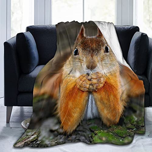 Ultra Soft Blanket Squirrel Throws Blanket Plush Fuzzy Lightweight Couch Sofa Bed Warm Cozy Flannel Blanket For Kids And Adults Gift 60"X50" #TOP1