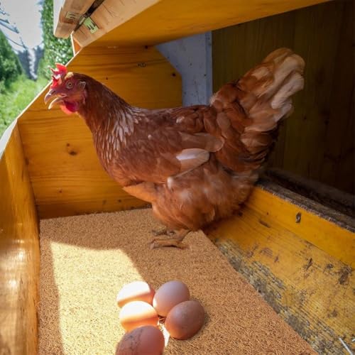 Tapis de nidification poule pondeuse coco 30cm lot de 6 doublure lavable nid - 3