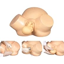 Midwife Training Simulator Female Childbirth Demonstration Model, for Gynecology Teaching