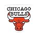 Gemelolandia | Toppa termoadesiva Chicago Bulls 9 x 8,5 cm | molto aderente | Patch Stickers per decorare i tuoi vestiti | Facile da applicare