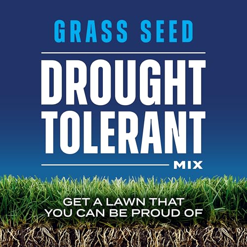 Grass Seed Blends For Sandy Soil And Beach Properties
